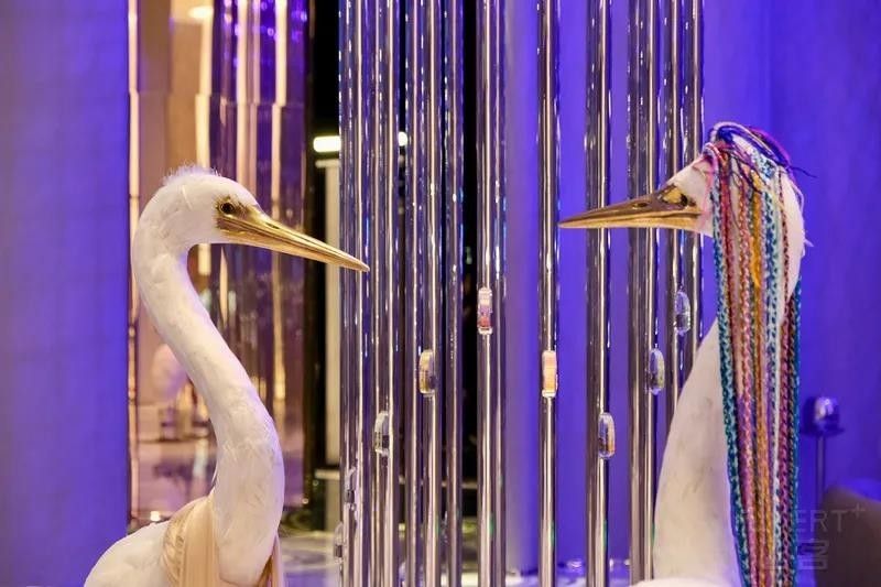 德国精工GKKBO演绎“三重守护” 心意挚礼 致敬母爱